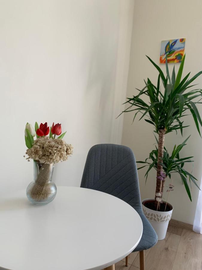 Vilagos, Kellemes Lakas, Jo Koezlekedessel Boedapest Buitenkant foto